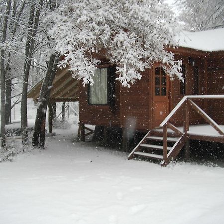 Cabanas Roble Quemado 라스 트란카스 외부 사진