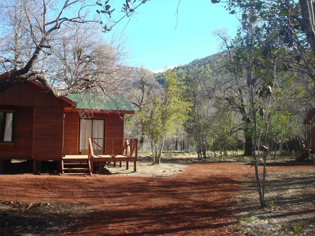 Cabanas Roble Quemado 라스 트란카스 객실 사진